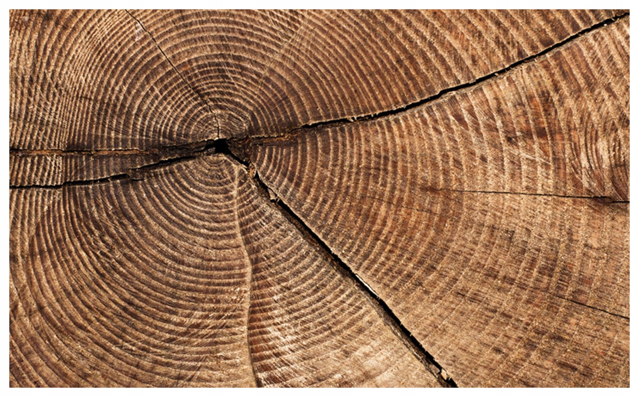 Vliesová fototapeta Dřevěné kruhy Teplé odstíny dřeva 312x219 lepidlo