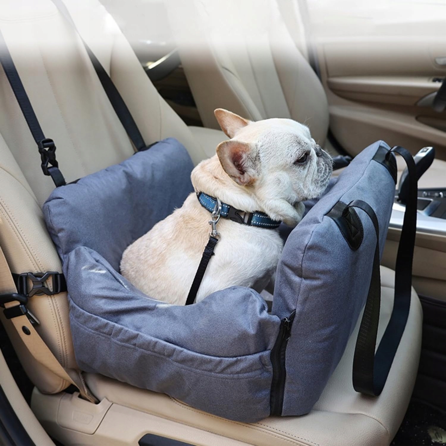 Hunde Autositz pro malé psy Přenosný Omyvatelný s kapsami