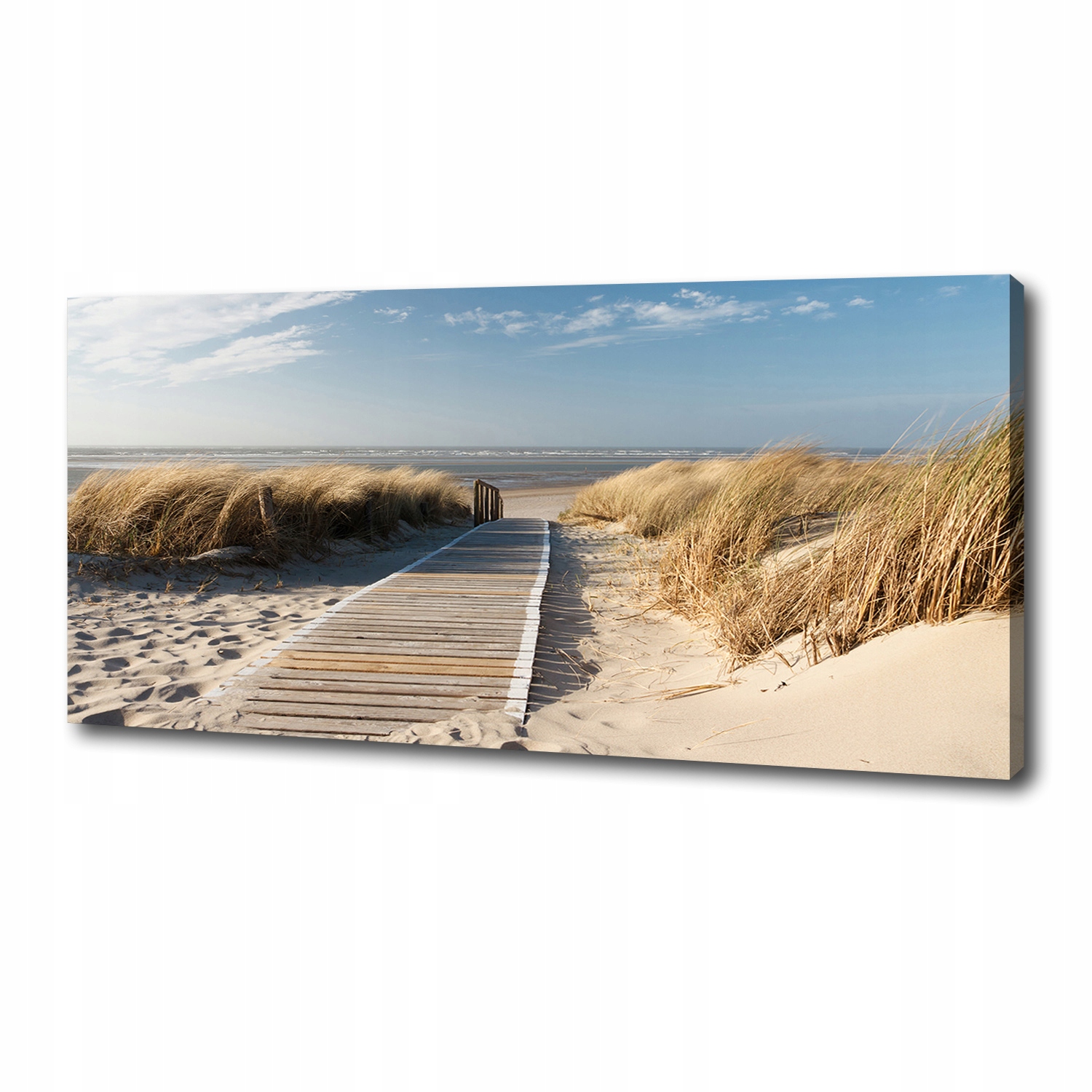 Foto obraz na plátně Stezka na pláži 125x50 cm