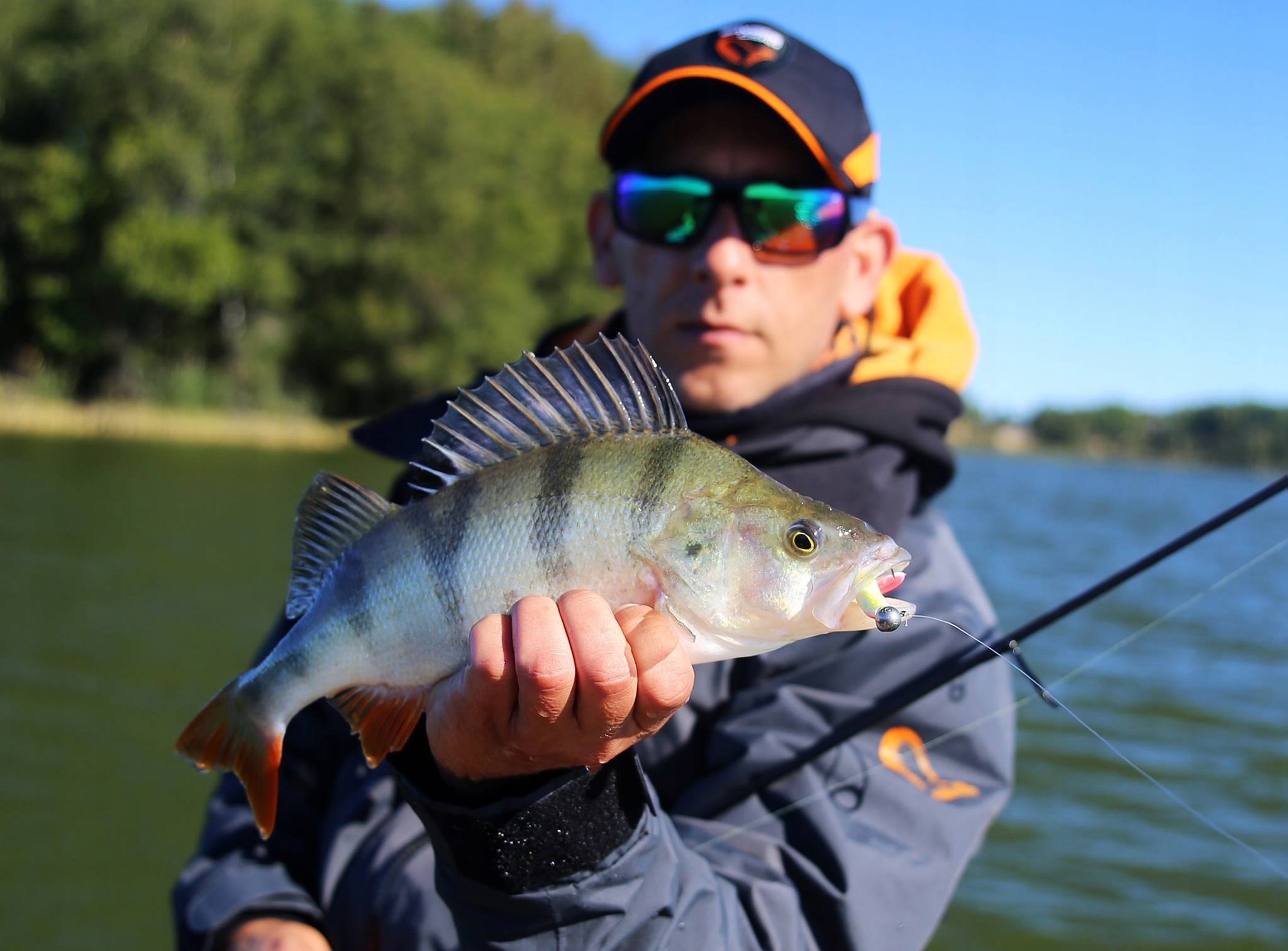 Savage Gear CANNIBAL OKONIOWY KILLER 6,8cm - Roach Rodzaj ripper