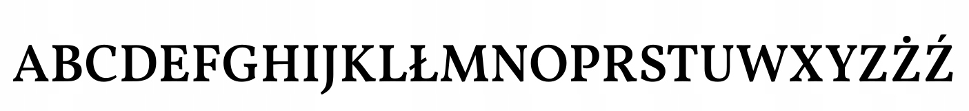 naklejka Twoje inicjały i data 8,5x5,5cm KOLORY Płeć uniseks