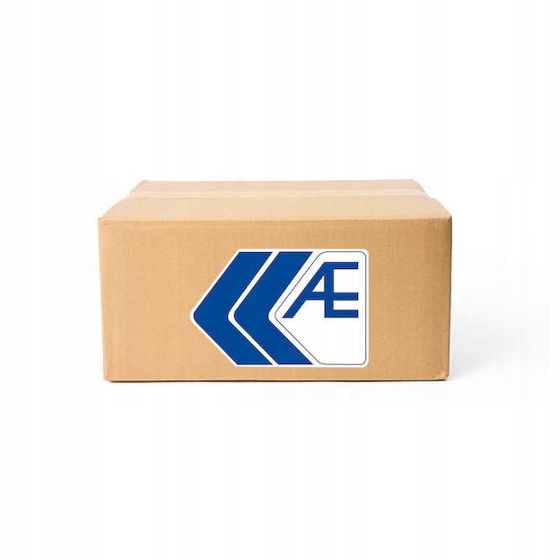 AE v80020 Впускний клапан