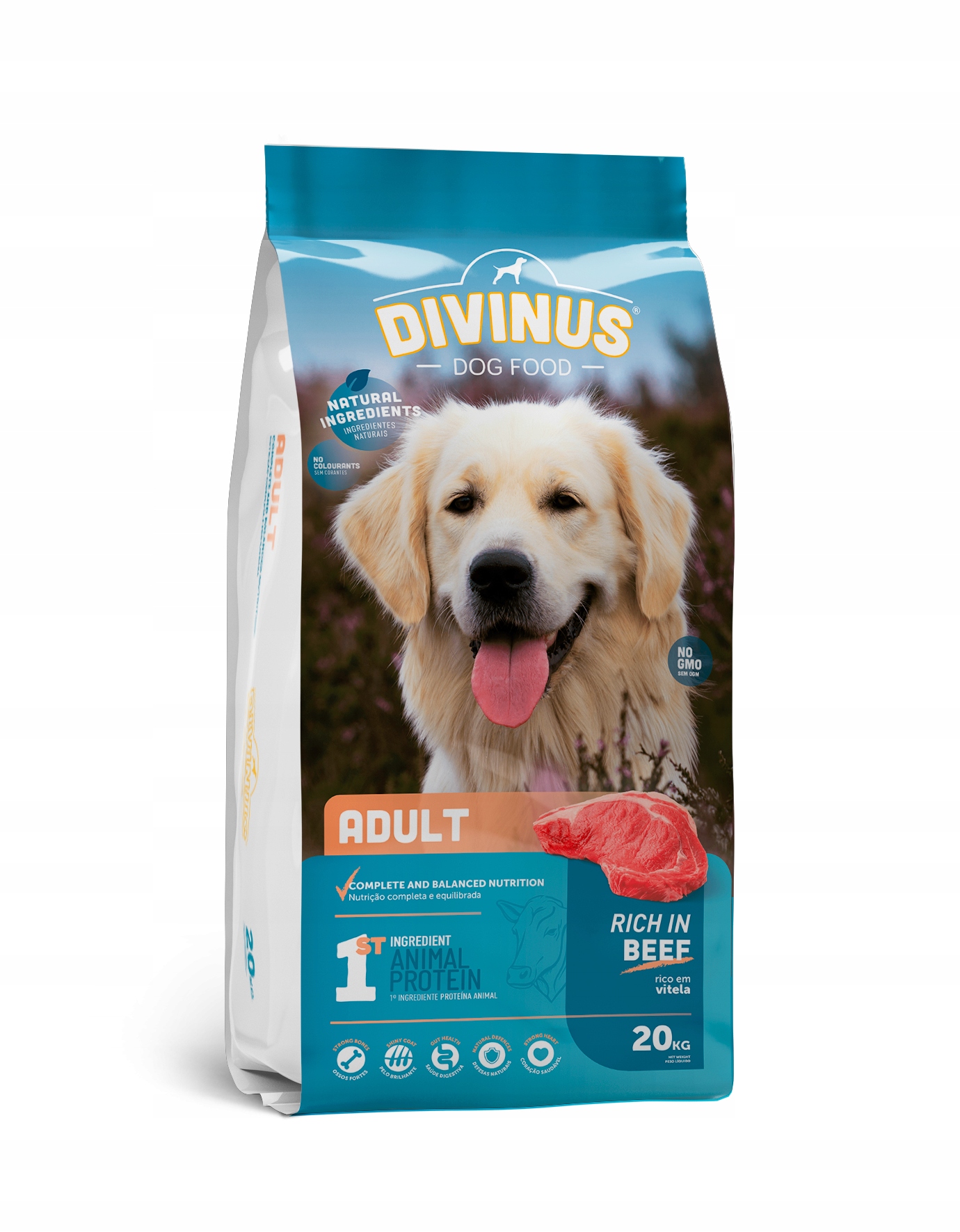 Divinus Adult pro dospělé psy 20 kg