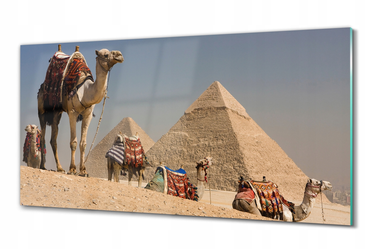 Sklenený obraz na stenu Pyramídy a ťavy 100x50
