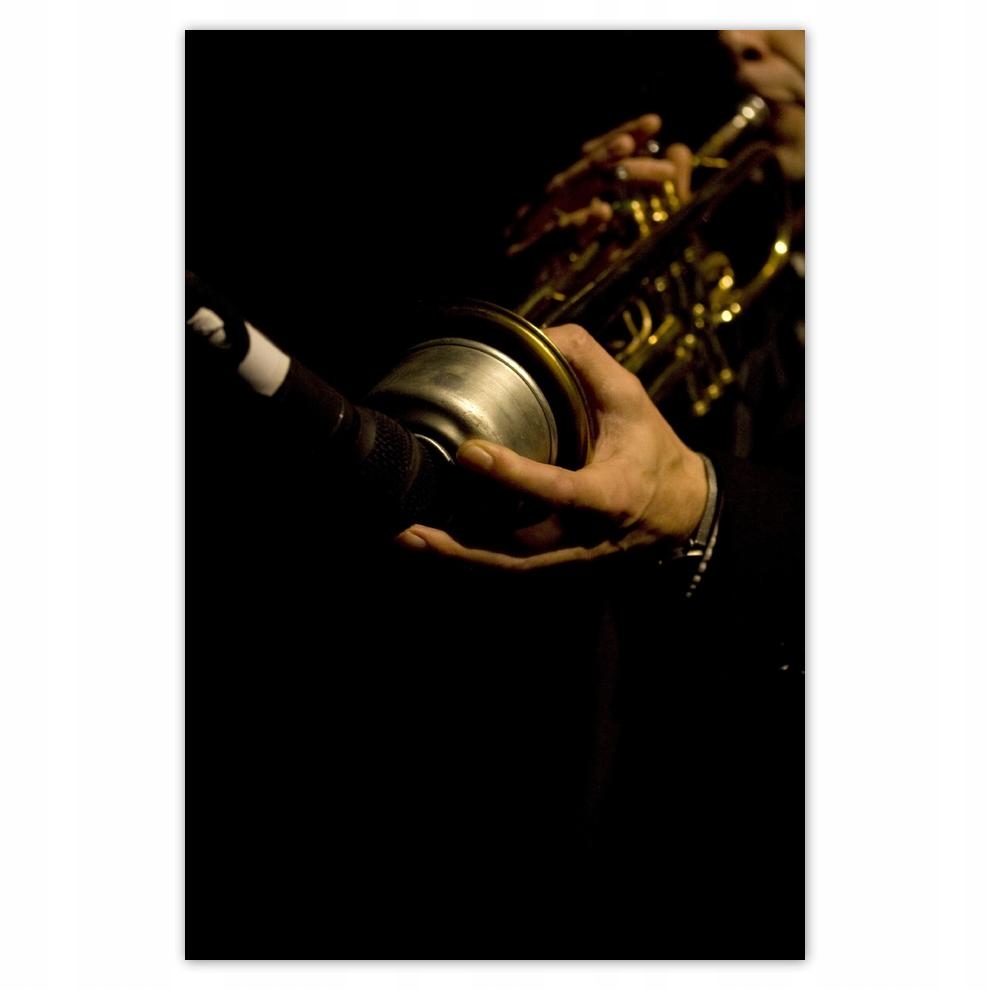 

Plakat 62x93 Muzyk jazzowy