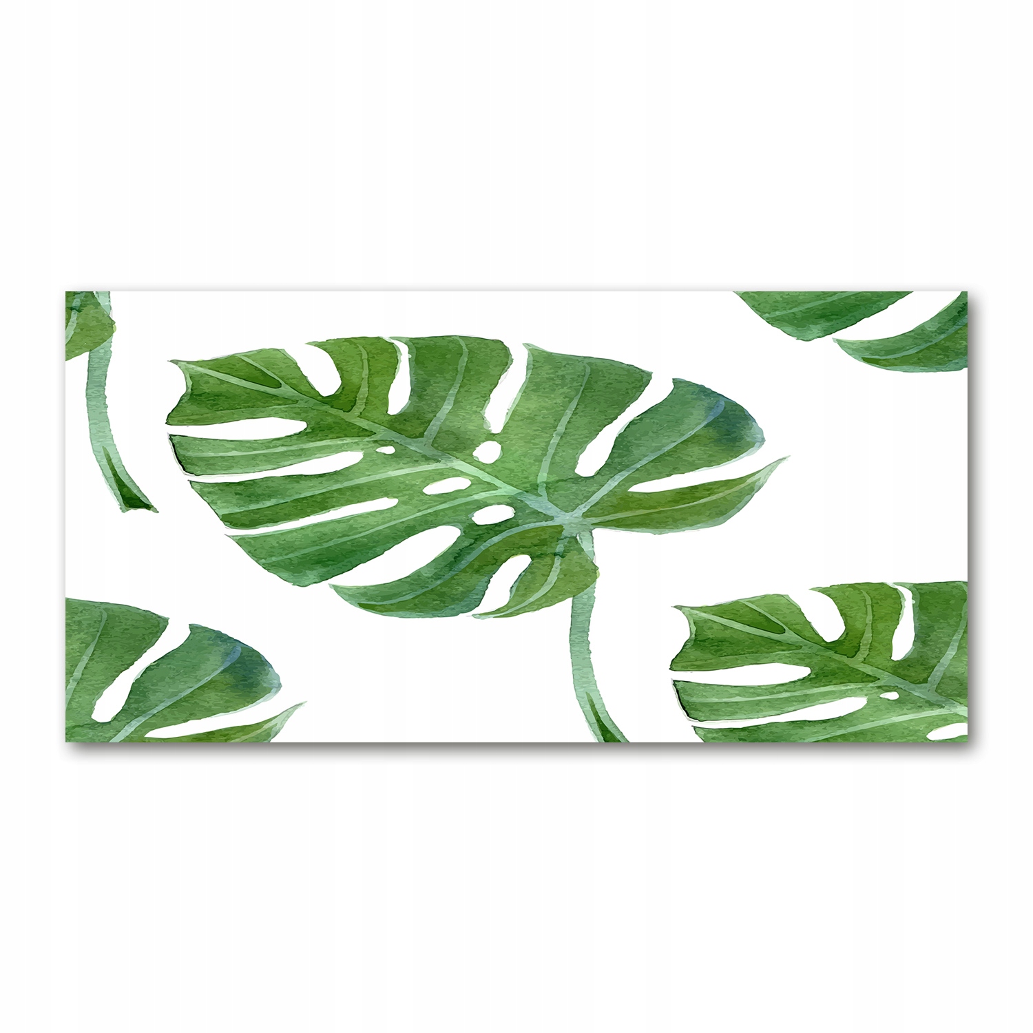 

Foto obraz duży akrylowy Monstera zdjęcie 140x70cm