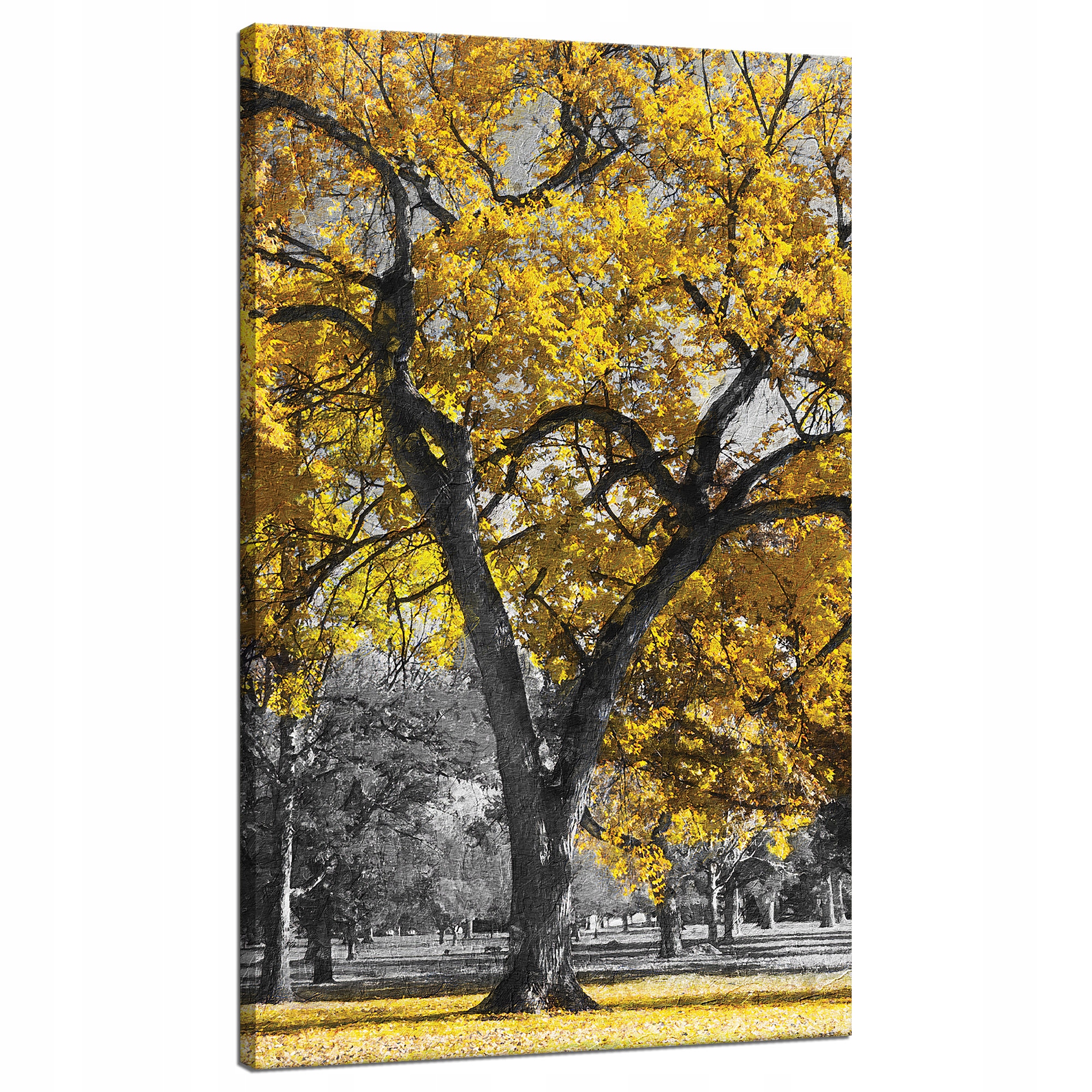 Obraz na plátně Černé Stromy Žluté Listy 70x120 cm Ideální jako dárek