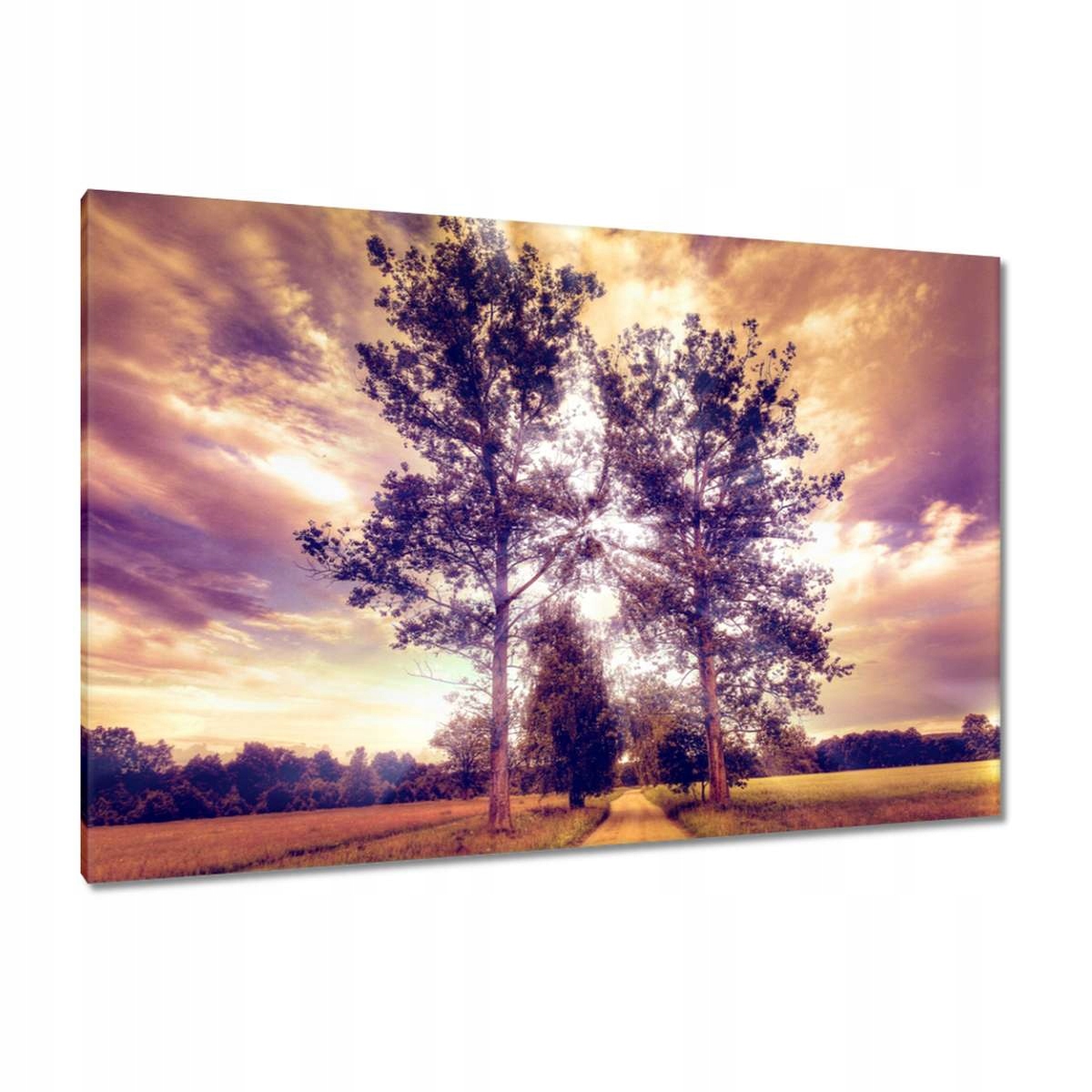 Obrazy 120x80 Stromy u cesty