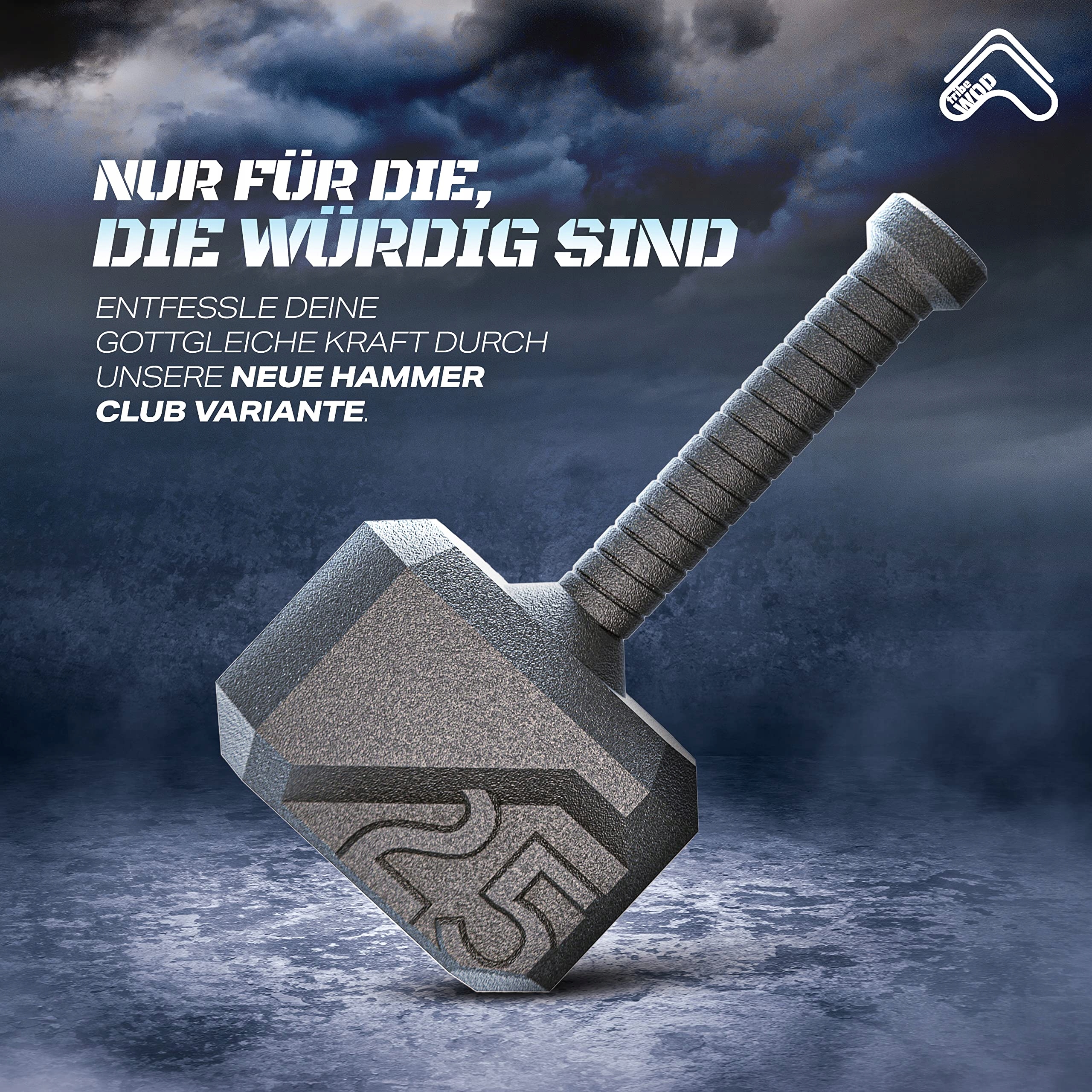 Sprzęt do treningu Hammer Kettlebell 7-31kg. Model other