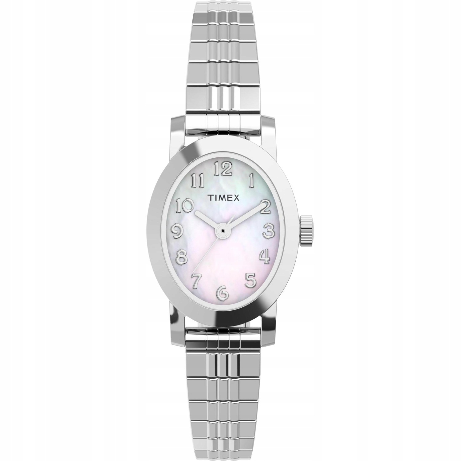 Dámské hodinky Timex TW2W70200 stříbrné