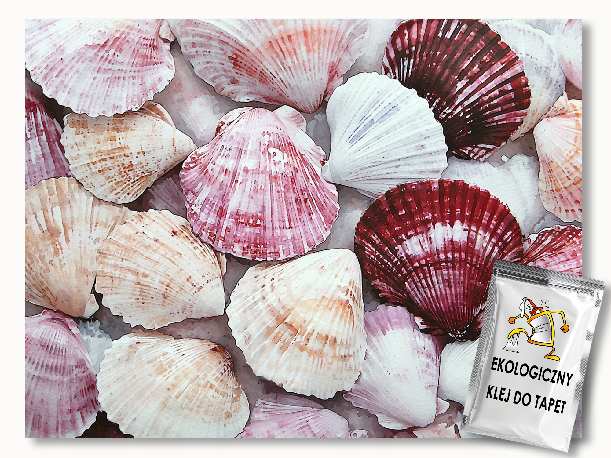 Fototapeta Flizelina Dekorace Příroda Pláž Mušle 312x219 130g