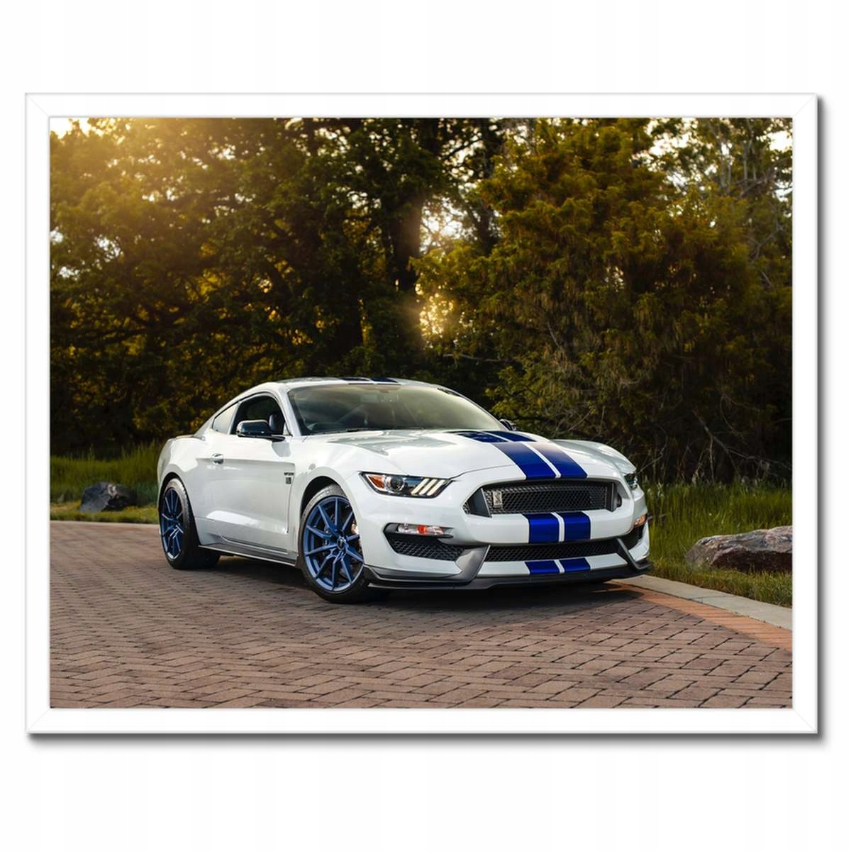 Plakáty v rámu 50x40 Sportovní Ford Mustang