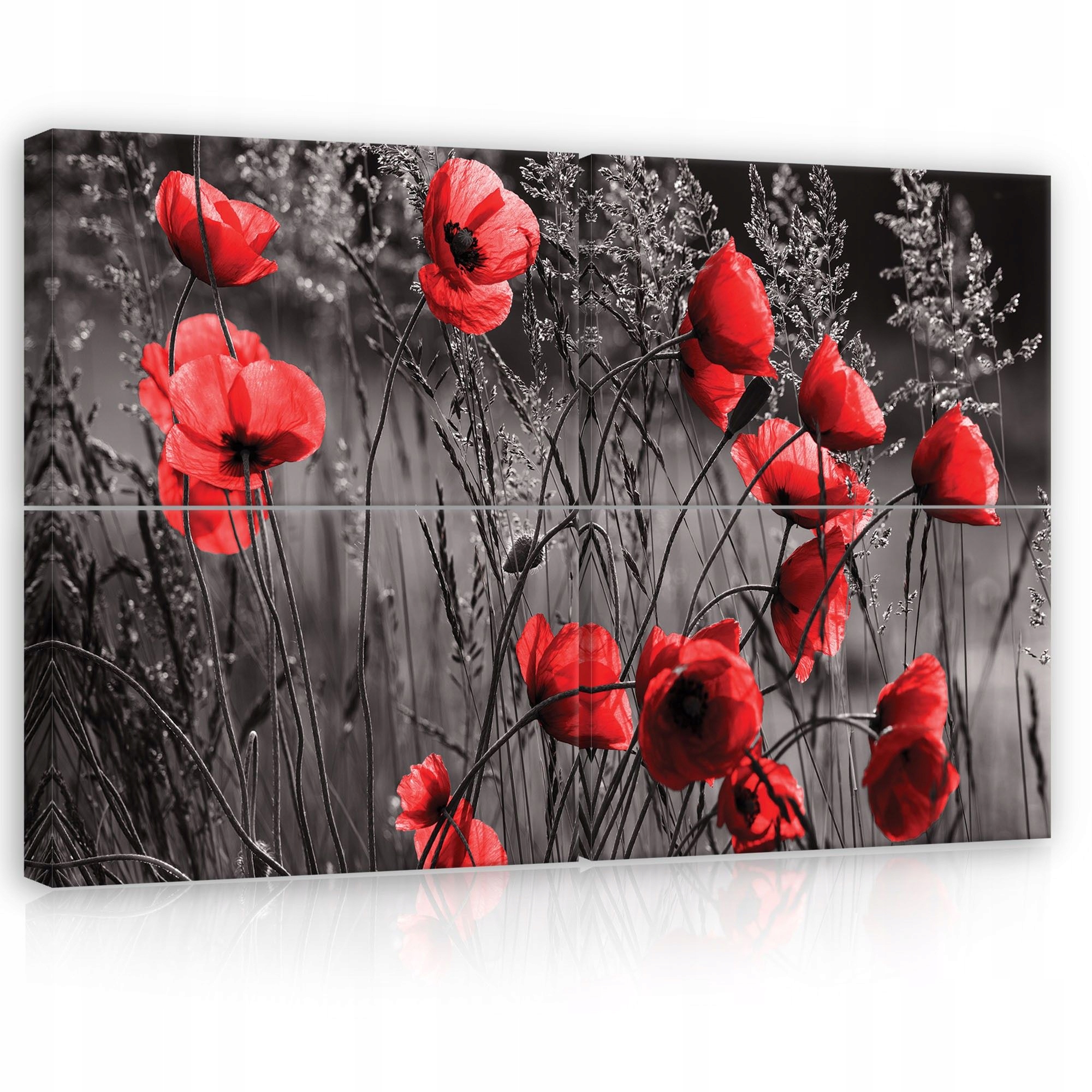 Obraz 120x80 Maky kvety poľné nástenná dekorácia príroda leto pole kvety