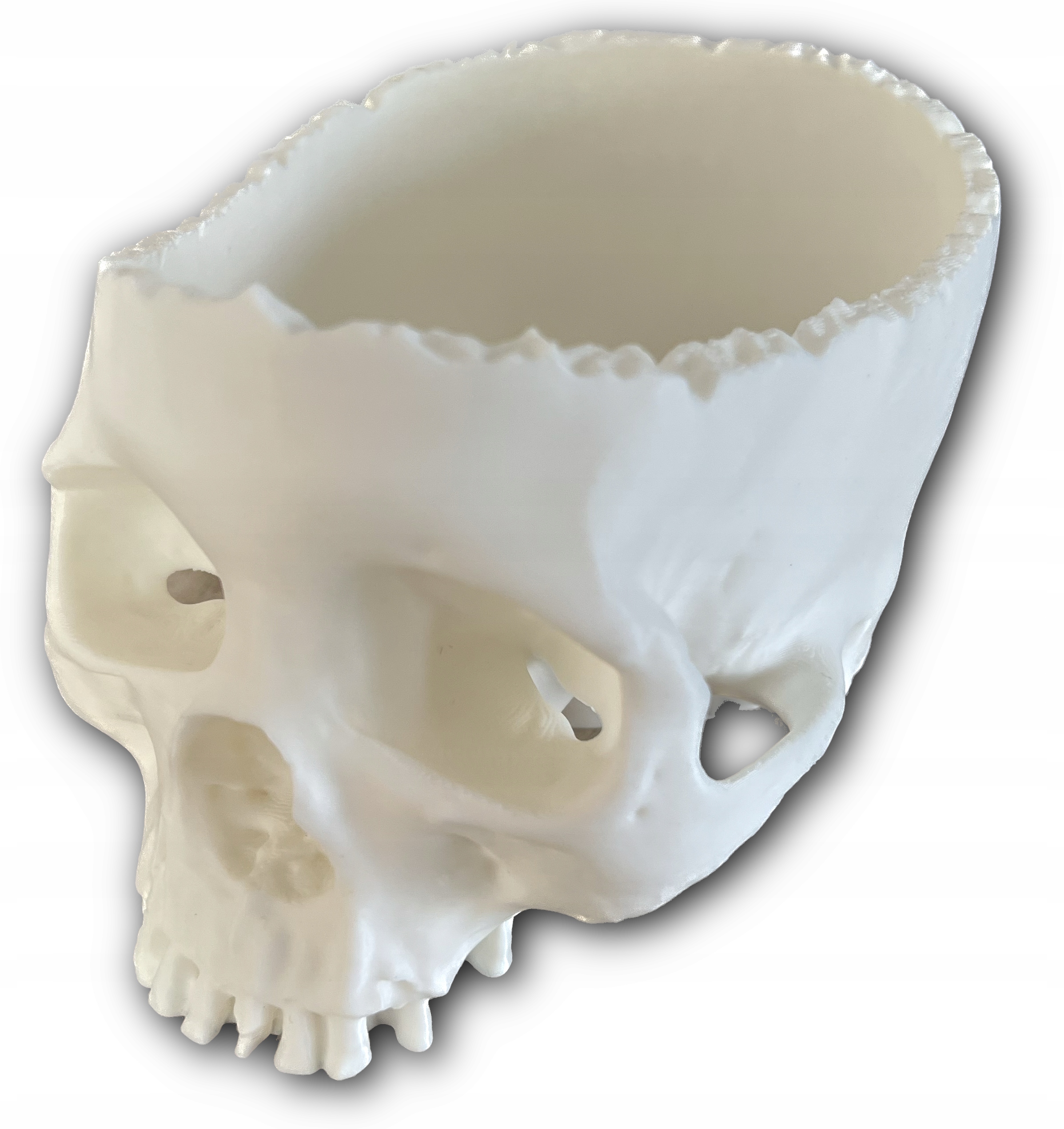 

Czaszka (miska) na słodycze Halloween