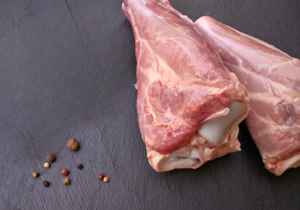 GICZ CIELĘCA prosto od producenta