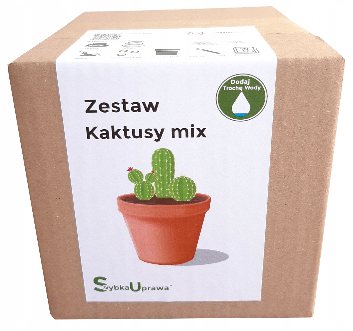

doskonały na Dzień Ojca Kaktus mix 03