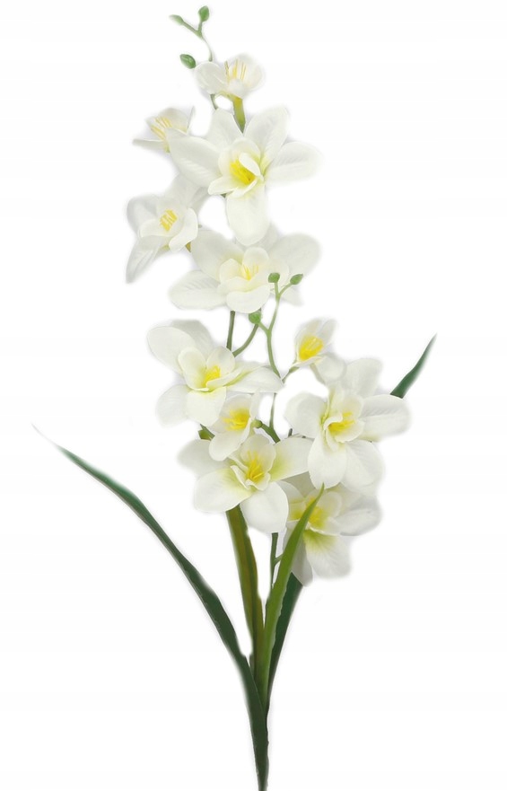 

Storczyk satynowy gałązka dekoracyjna Krem