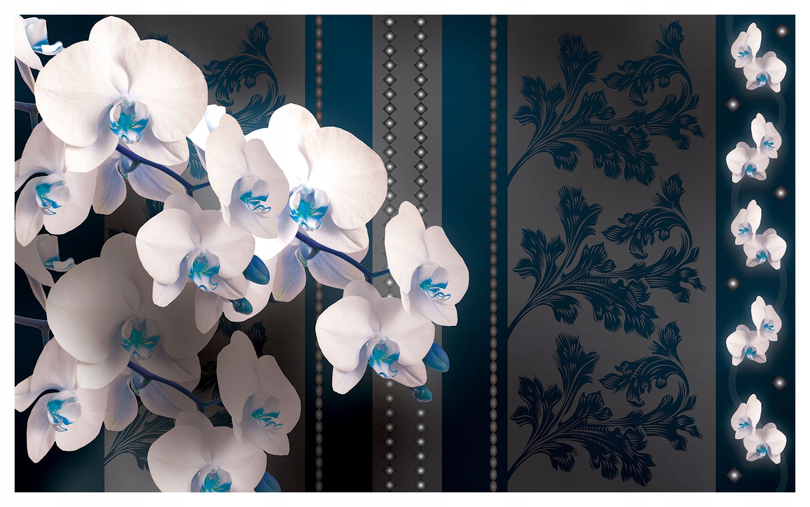 Fototapeta Orchideje bílé pozadí šedá vinylová 254x184 lepidlo