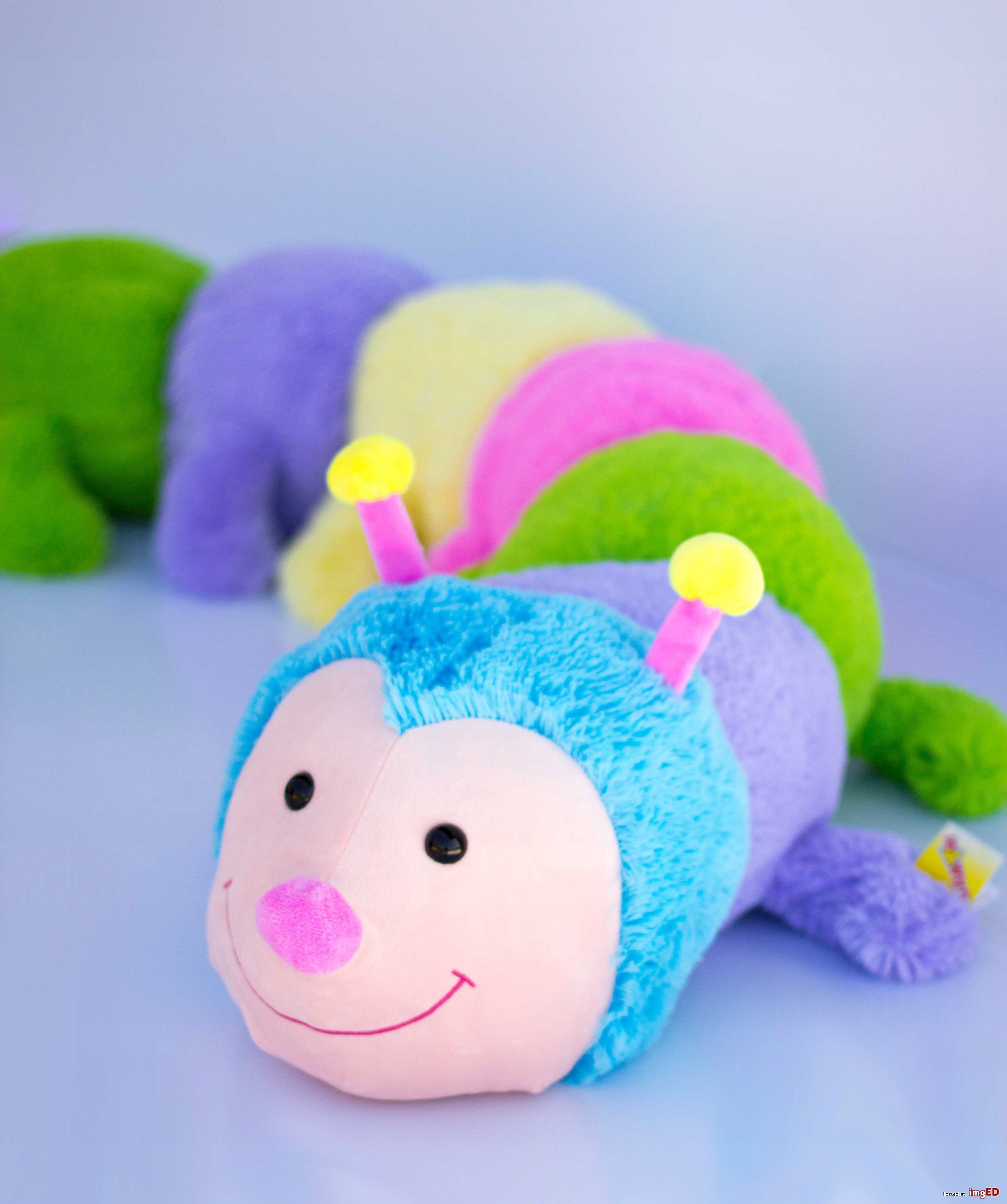 STONOGA GĄSIENICA MASKOTKA PLUSZOWY MIŚ 180CM Rodzaj inny