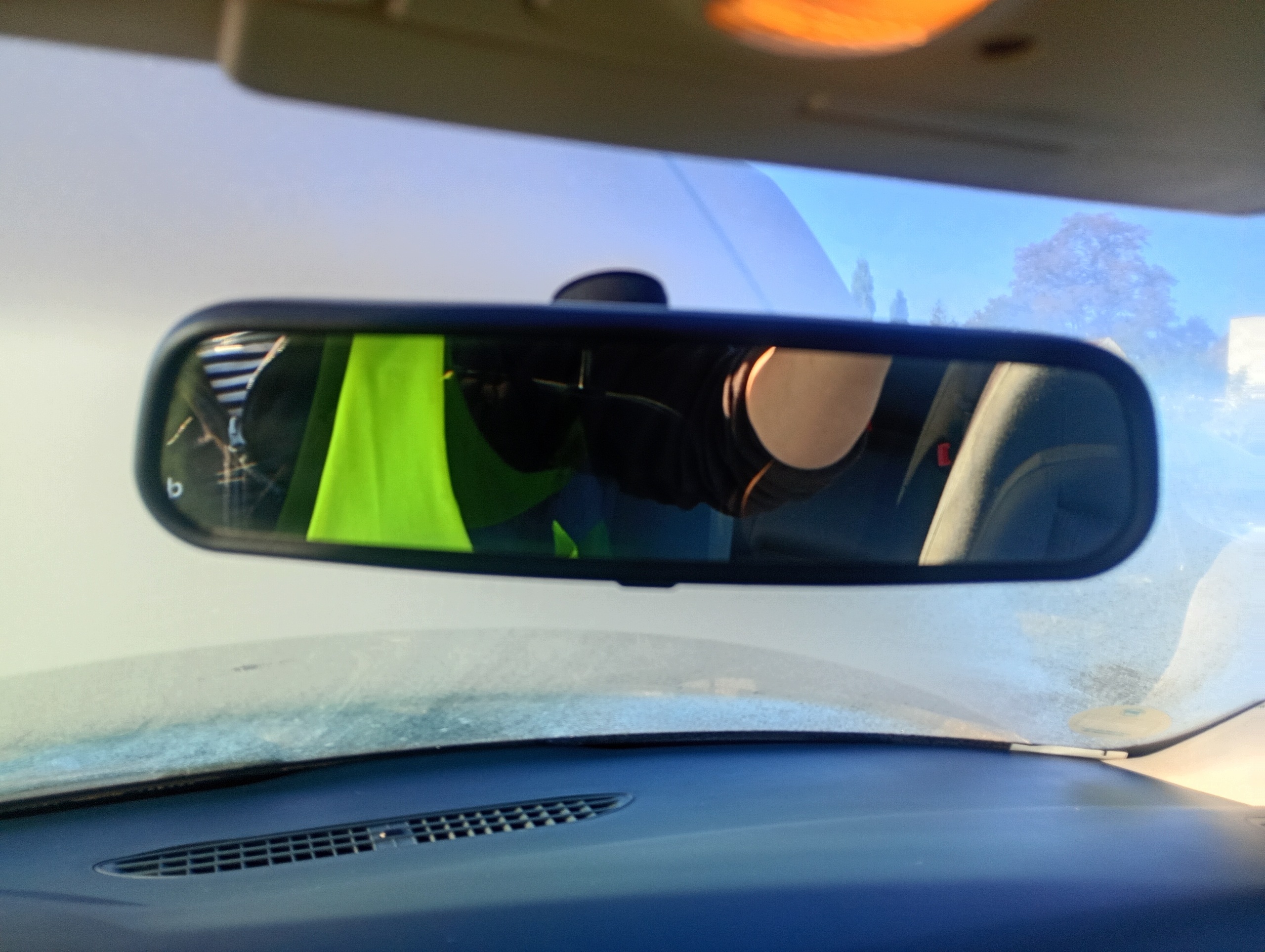 rear-view mirror inner Audi A6 C5 97-05