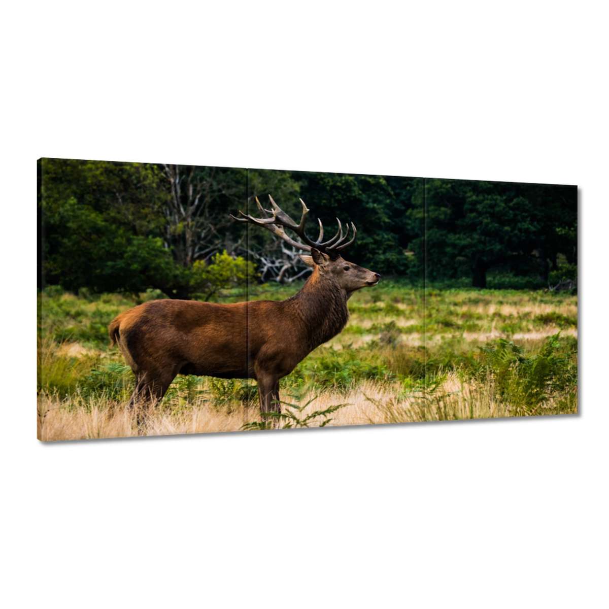 Obrazy 180x90 Obrovský jeleň Krajina