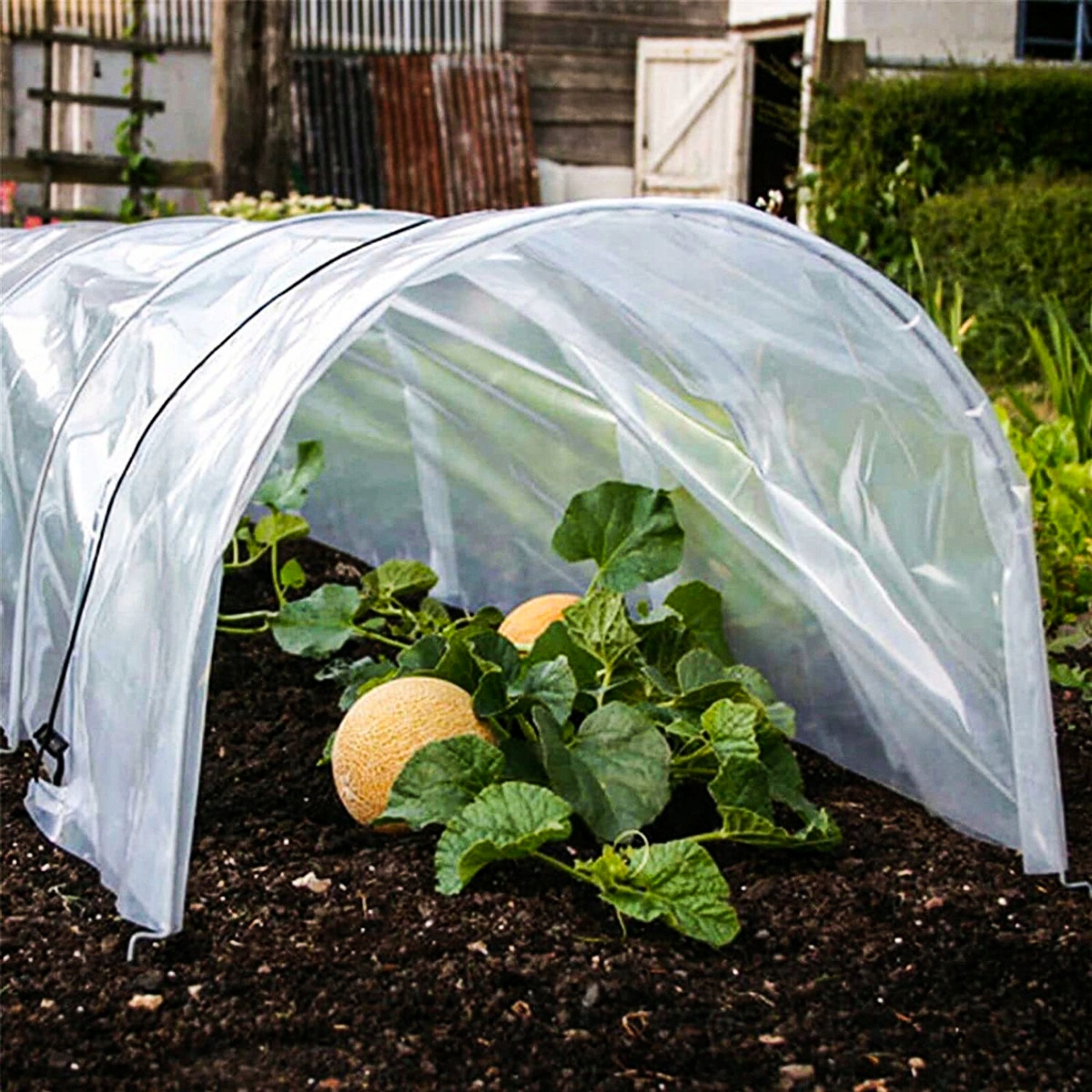 SZKLARNIA OGRODOWA TUNEL FOLIOWY NA WARZYWA UPRAW Kolor przezroczysty