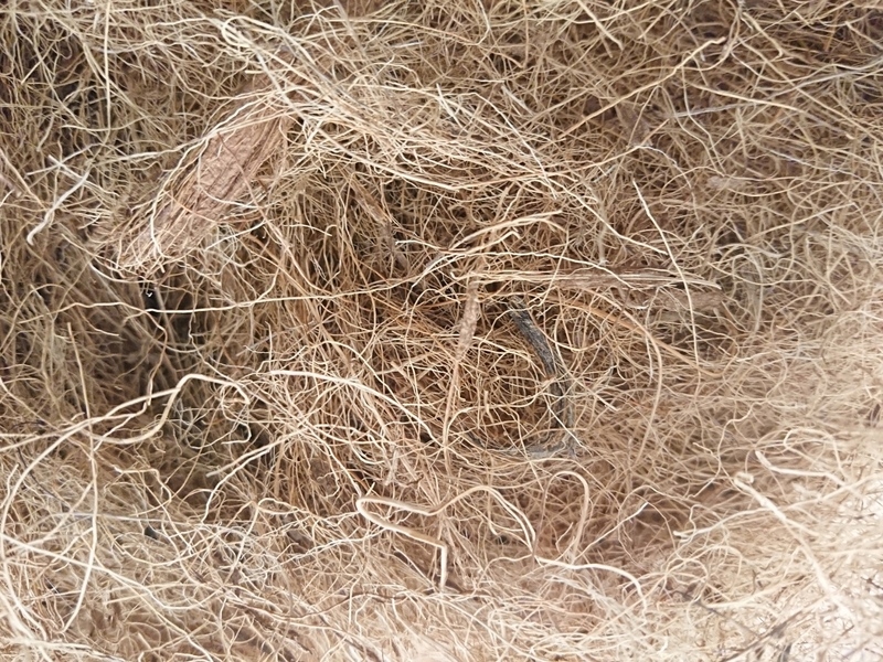 Quiko Výstelka do hnízda směs vláken (kokos) 100g