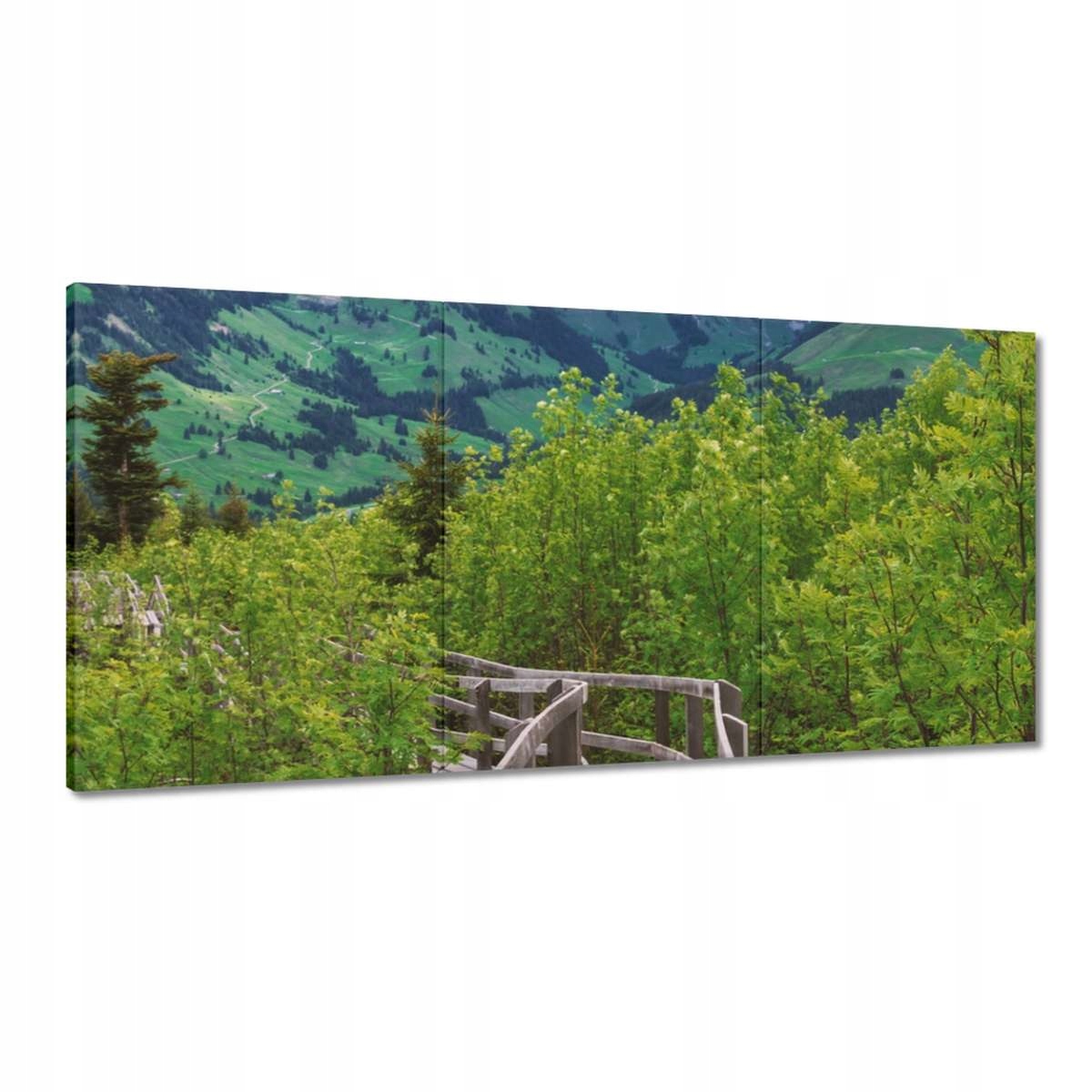 Obrazy 180x90 Most Architektúra Krajina