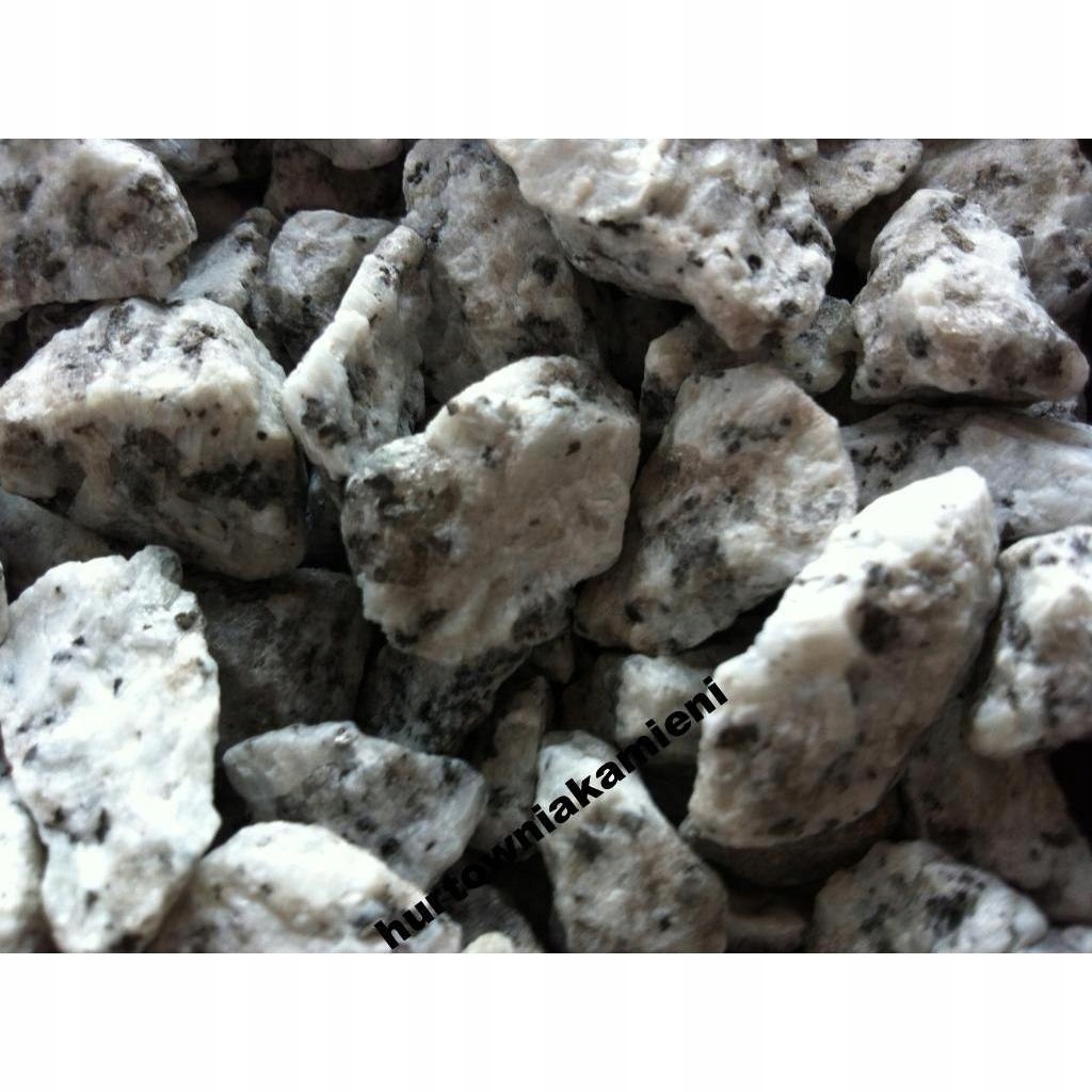 Grys granit dalmatyńczy Kod producenta 01