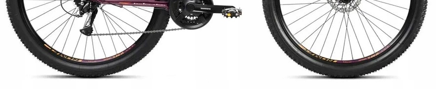 Romet Jolene 7.2 purpurowy 2024 Płeć kobieta