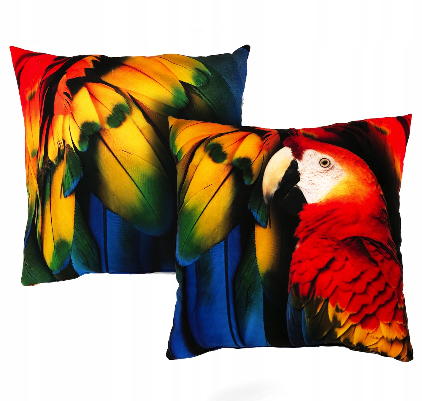 

Poduszka Papugą papuga 35x35 spania dekor