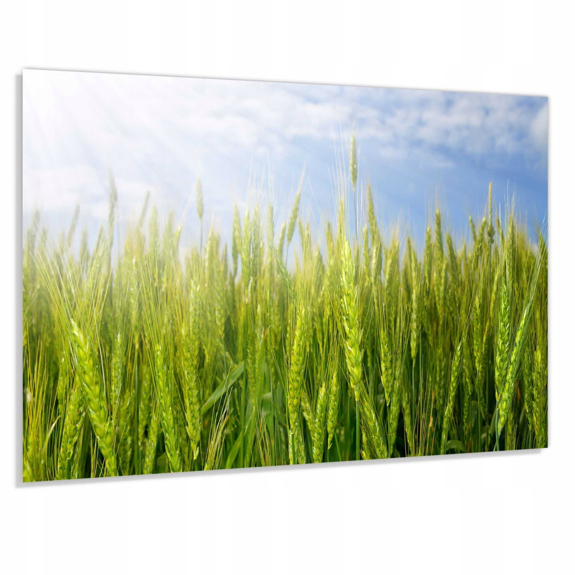 Ochranný Panel 80x60cm 4mm Do Kuchyně Lacobel Dekorativní Kalený