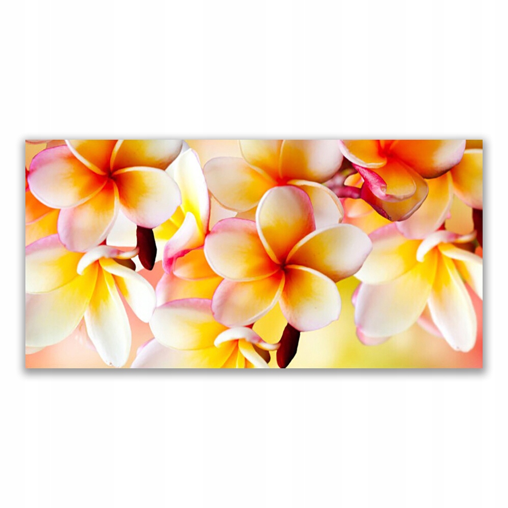 

Fotoobraz nowoczesny 120x60 Kwiaty Roślina Natura