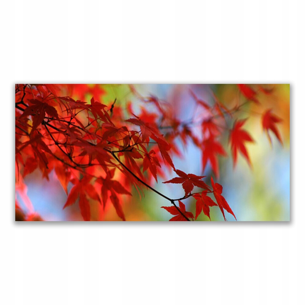 

Obraz akryl z grafiką ścienny 140x70 Liście Natura