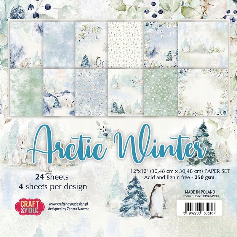 Zestaw papierów Arctic Winter 15x15cm