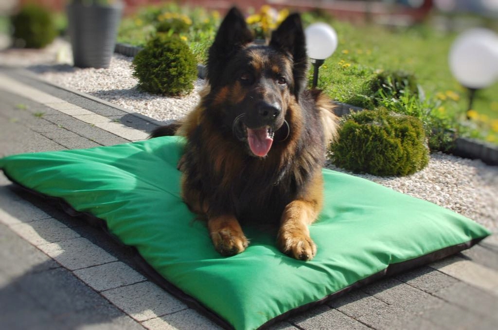 Pelíšek s pohankovou slupkou pro psa Polštář z pohanky pro kočky 50x75 cm