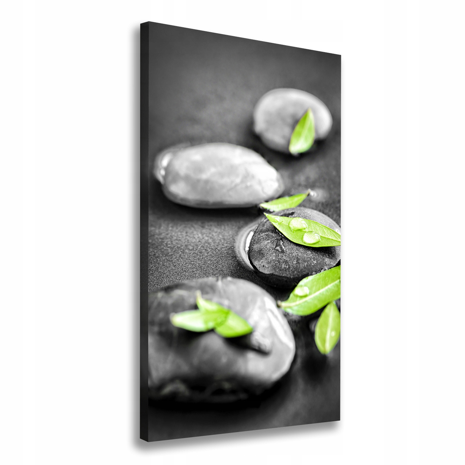 

Foto obraz na płótnie Liście kamienie zen 50x100cm