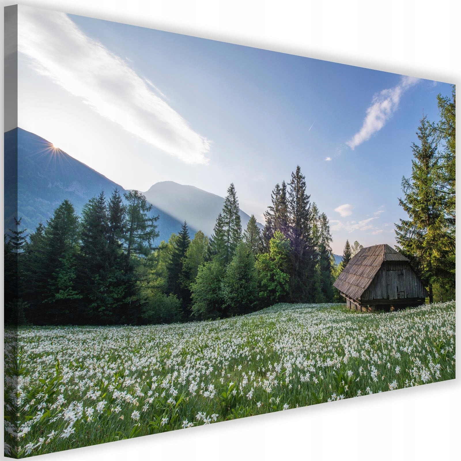 

Obraz Górski Krajobraz Pejzaż Do Salonu 120x80