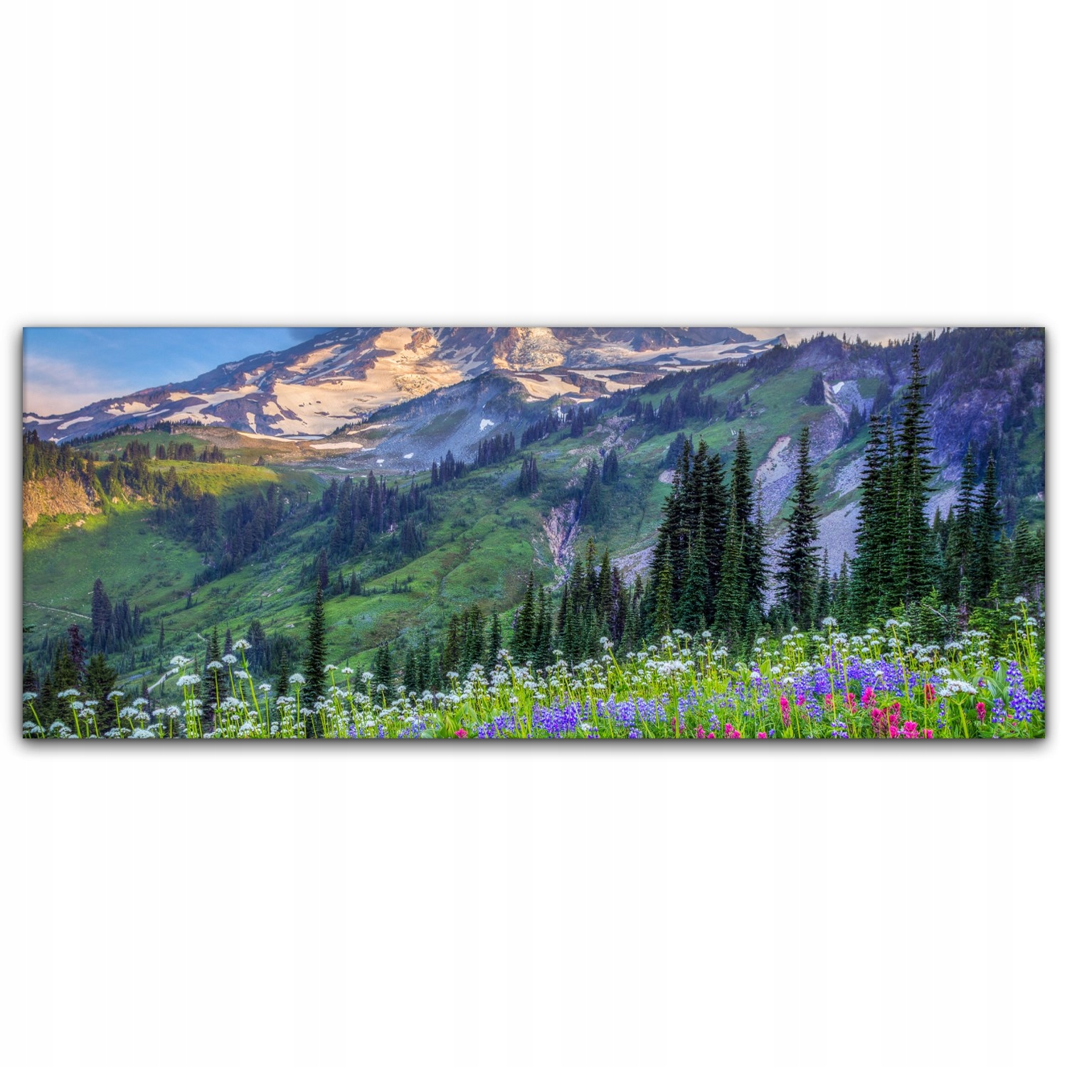 

Canvas do sypialni 125x50 Kwiaty Natura Krajobraz