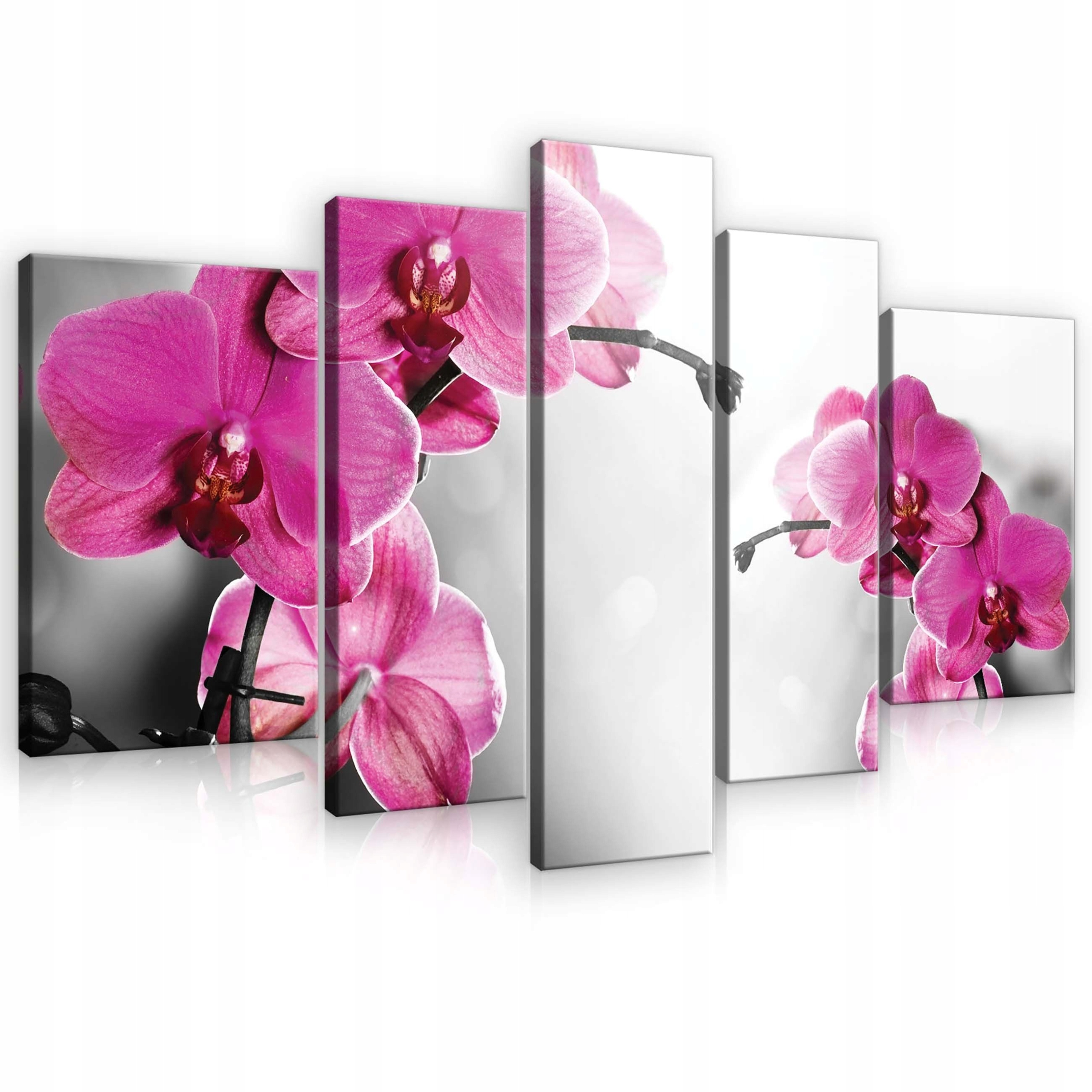 Obraz 170x100 Orchidea kvety ružová jemnosť príroda dekor