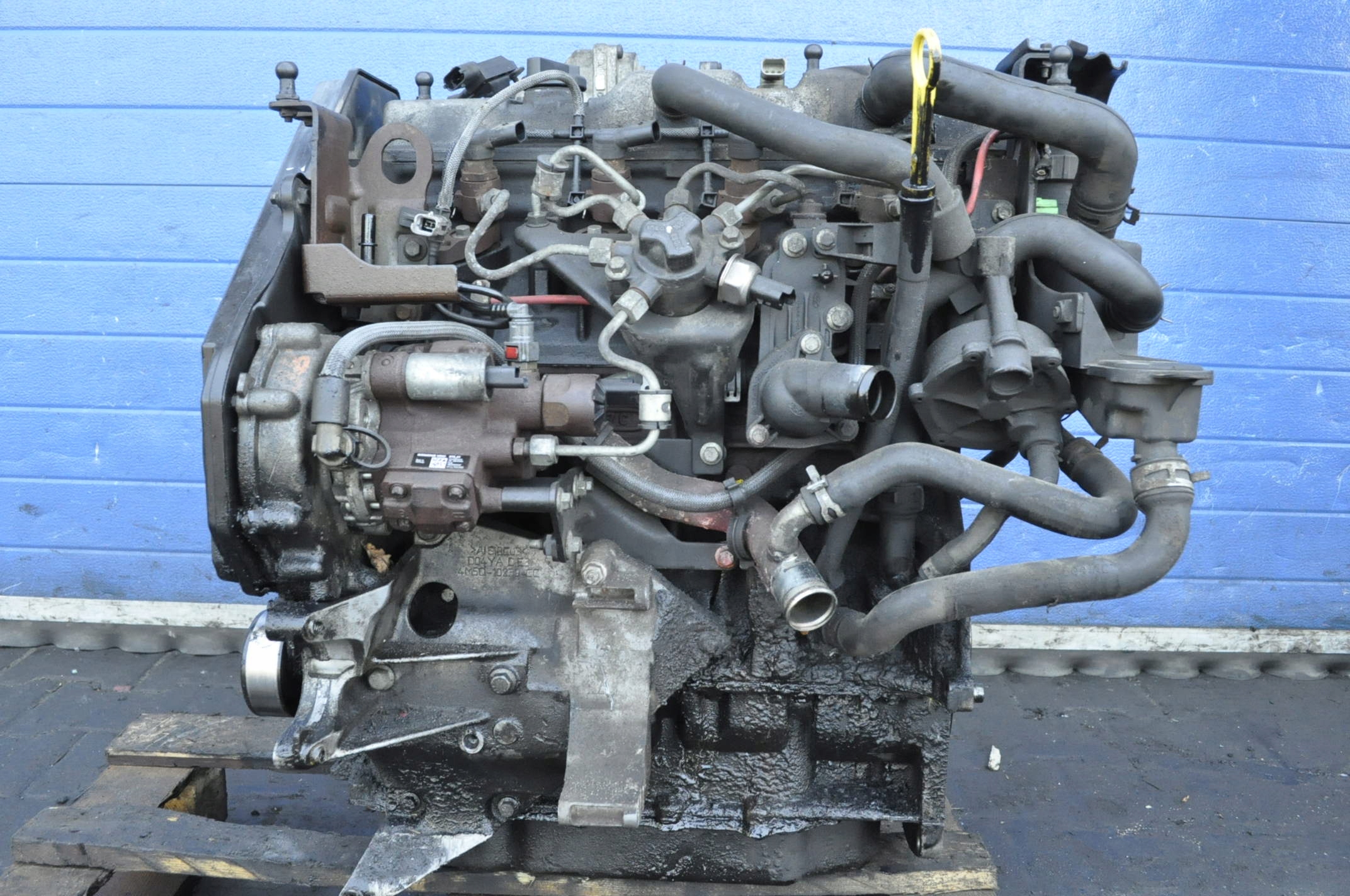 【Kevin】 CRD +PHC君0.5ml CBC