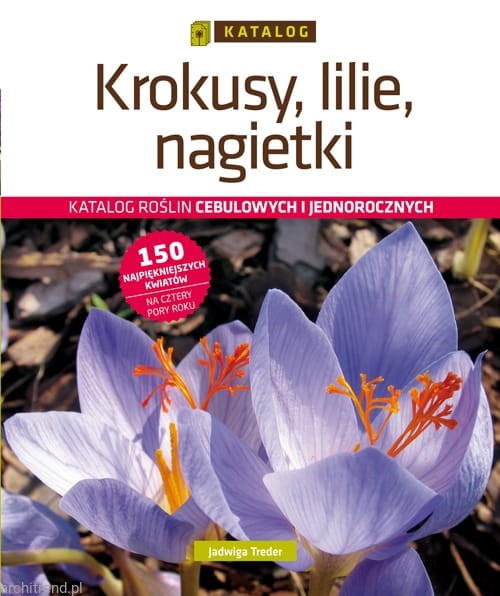 Krokusy, lilie, nagietki Katalog roślin cebulowych