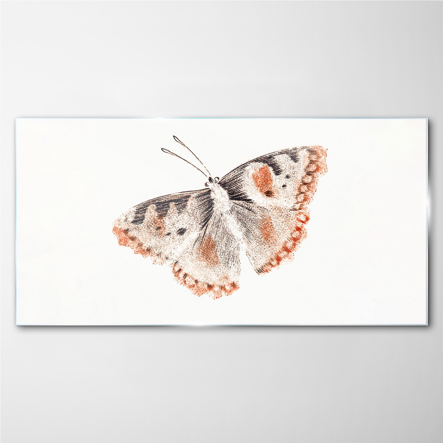 

Obraz szklany z nadrukiem Owad motyl 100x50 cm