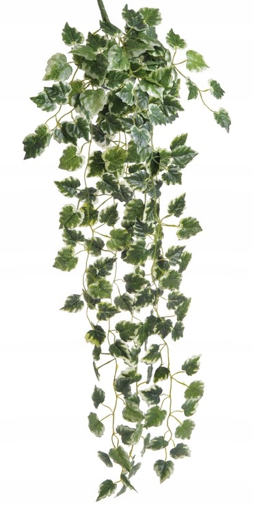 

Sztuczna roślina do terrarium Bluszcz