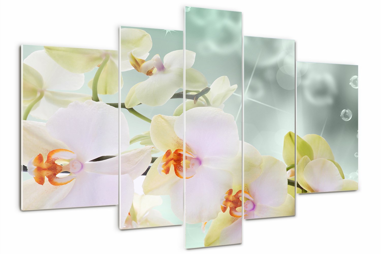 Foto Sklený obraz veľký triptych Biela orchidea