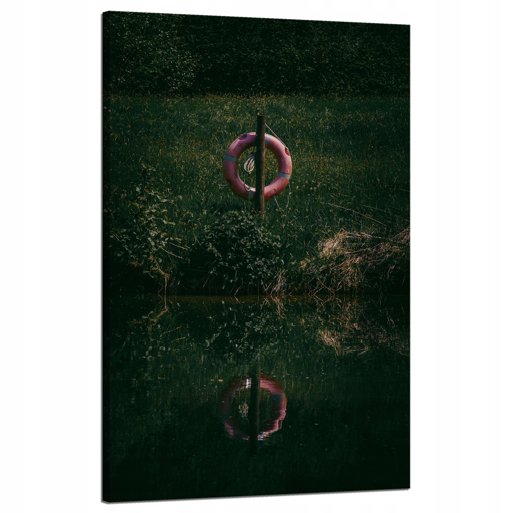 Obraz Canvas Příroda Záchranný kruh Temnota 50x80 cm