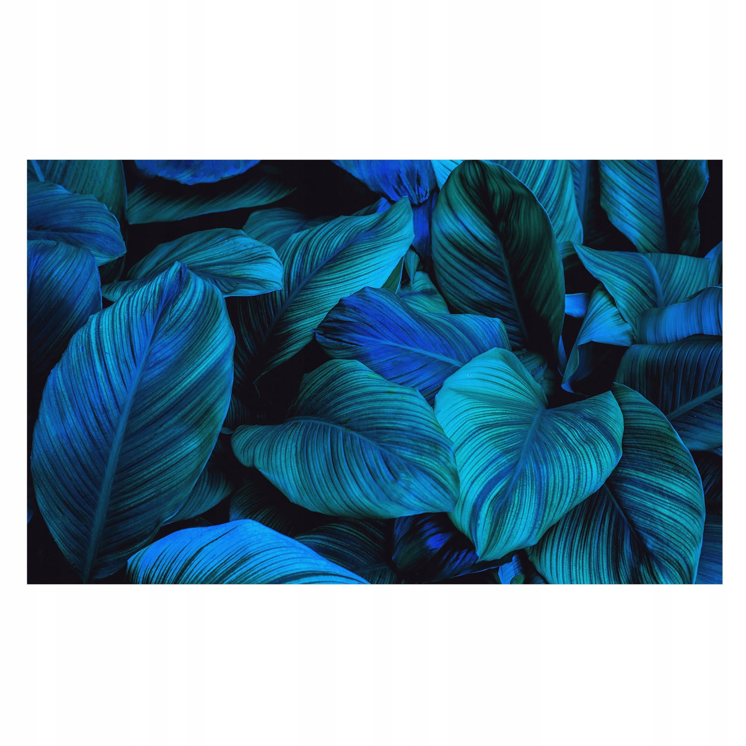 Fototapeta na stenu do kuchyne predsiene Modré listy 416x254 lepidlo