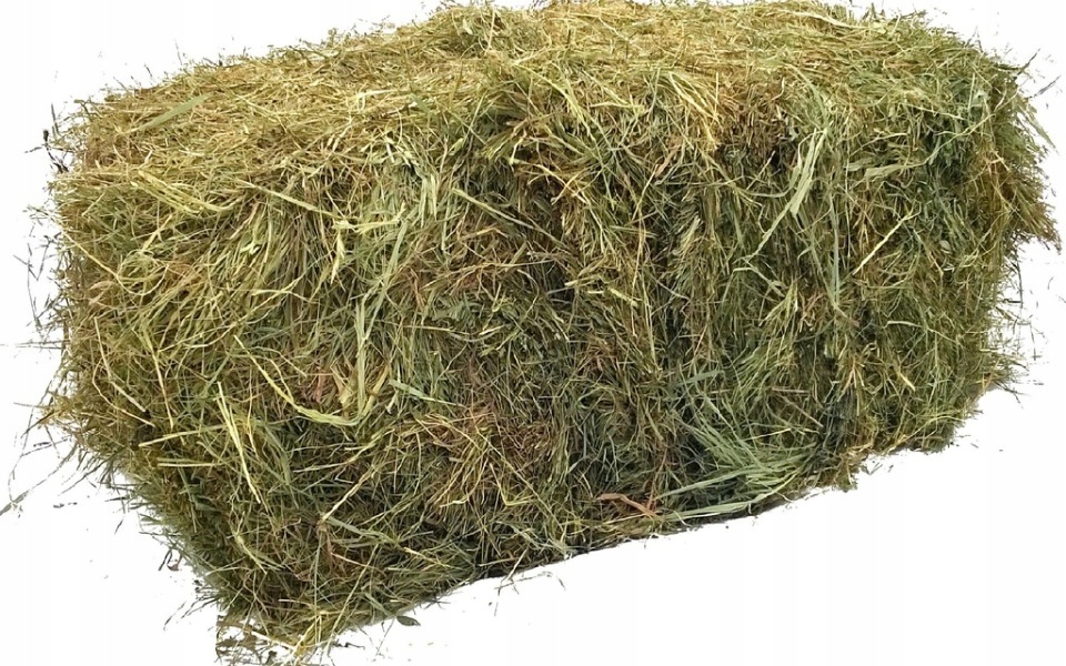 Kostka Siana Siano w Kostce XXXL Naturalne Świeże EkoJura ok 10 KG