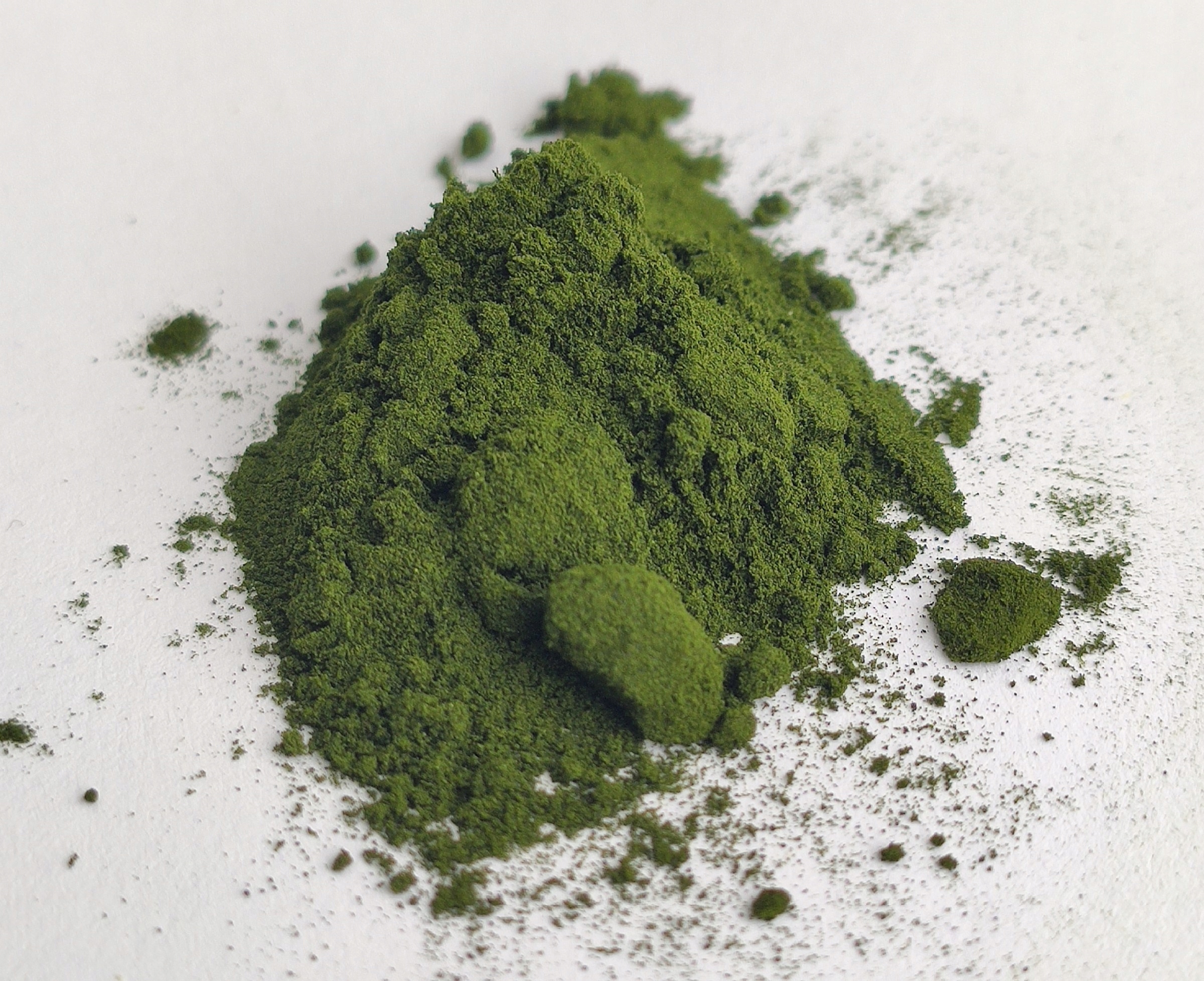

Chlorella proszek naturalna 50g Dary Podlasia