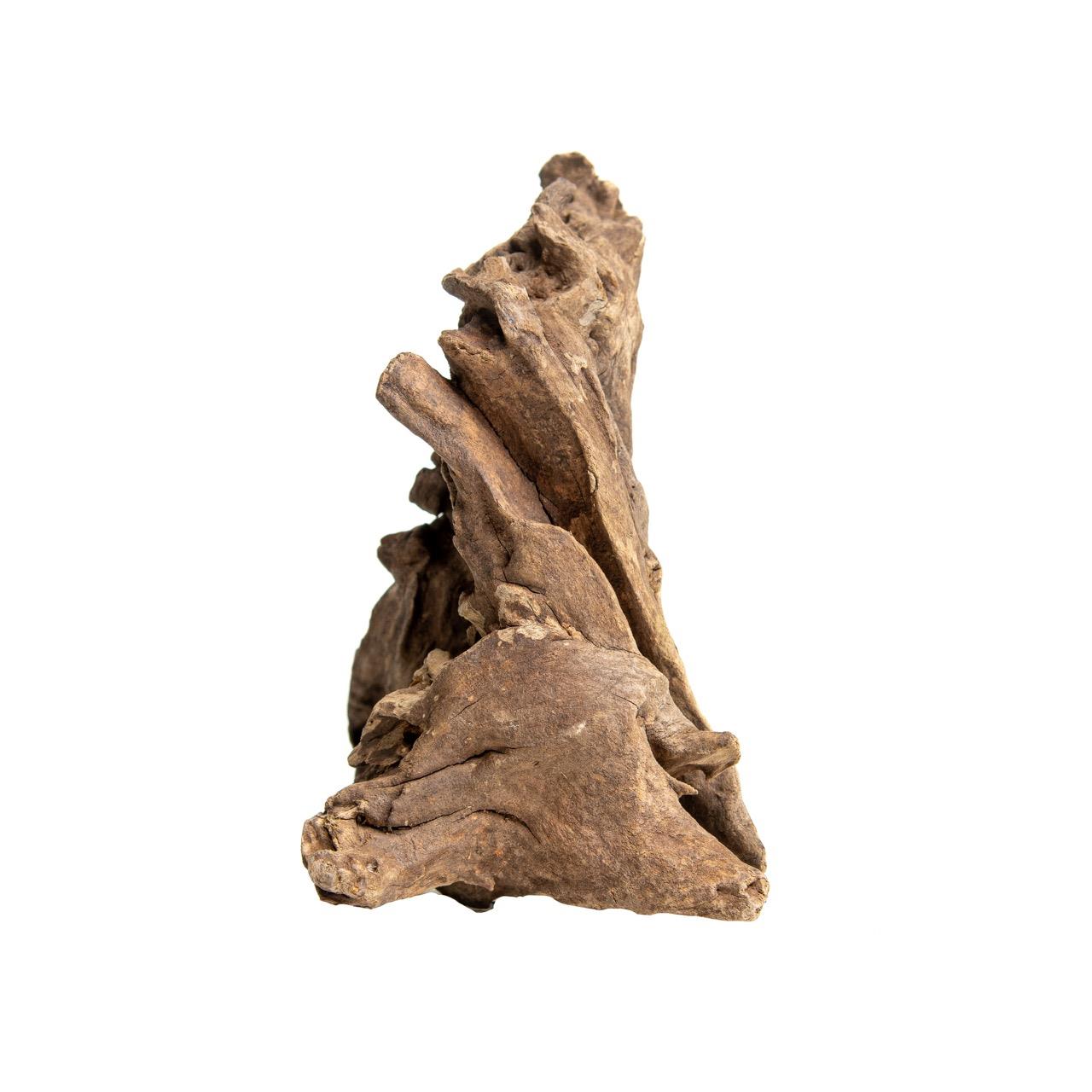 Levně Kořen Jagged Wood Pro Akvárium Přírodní Ozdoba Aquascaping 30-45 CM